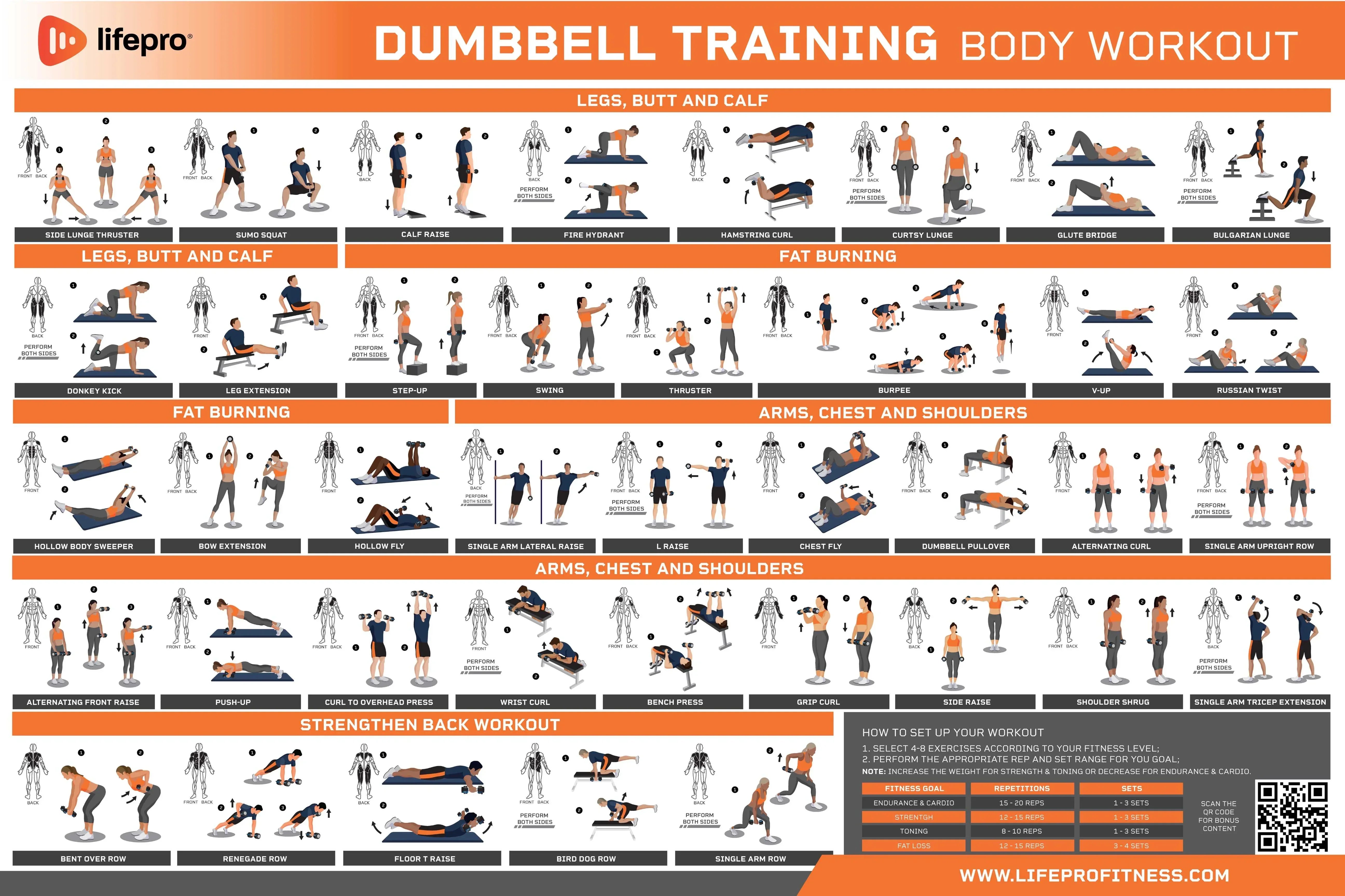 Dumbbell Workout Guide — Oxyfitus
