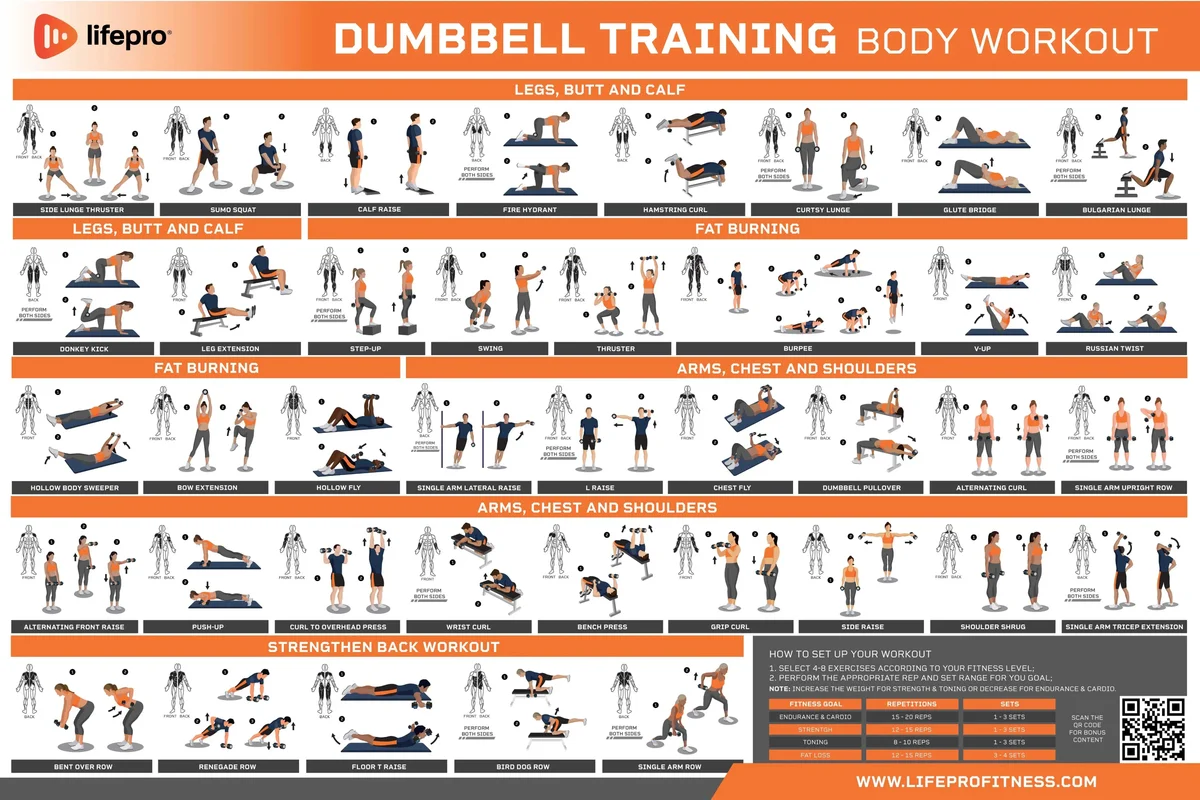 Dumbbell Workout Guide — Oxyfitus